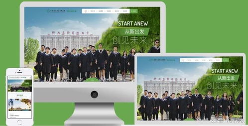 探索五家優秀網站開發定制公司 打造您的在線門戶